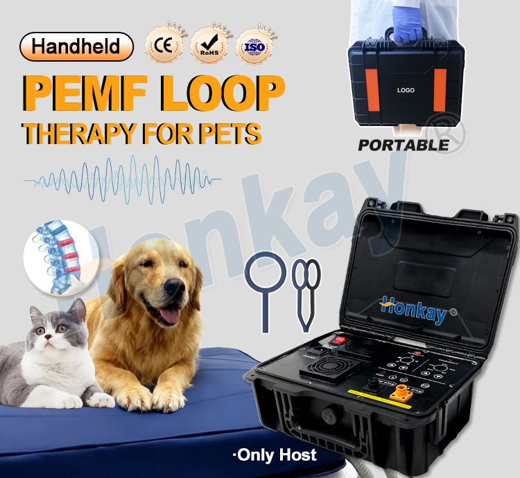 ペット用PEMFデバイスループ 犬の健康維持 猫のボディマッ - Health Wellness Massage のレビューと価格