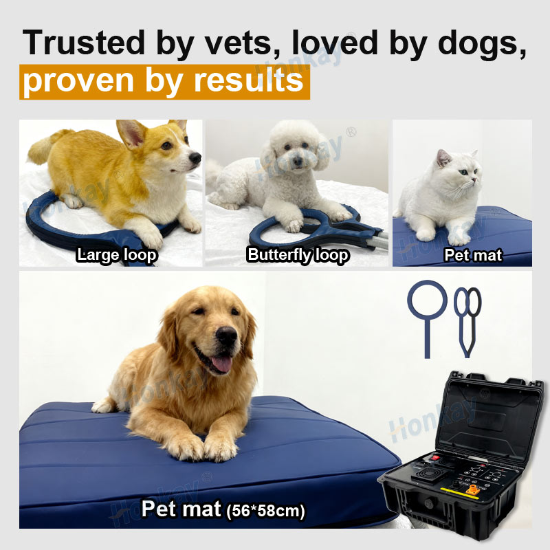 ペット用PEMFデバイスループ 犬の健康維持 猫のボディマッ - Health Wellness Massage のレビューと価格